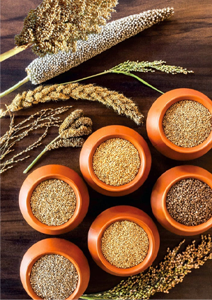 Namaste Export